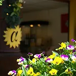 Seilers Vintage & Hotel Kandersteg