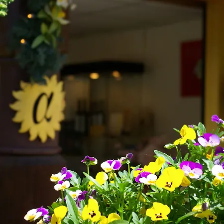 Seilers Vintage & Hotel Kandersteg