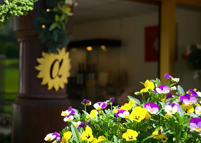 Seilers Vintage & 호텔 칸더슈텍